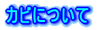 �J�r�ɂ���